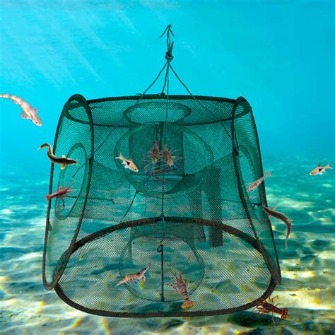 fish cage trap|Fishing Traps in Fishing .